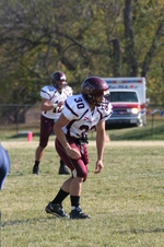 Enlarge photo 313