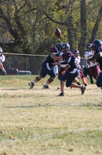 Enlarge photo 318