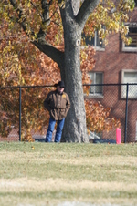 Enlarge photo 343
