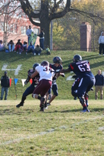 Enlarge photo 379