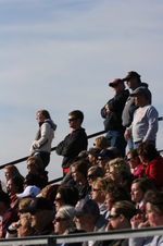 Enlarge photo 407