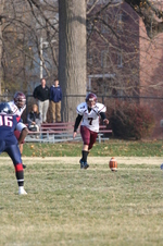 Enlarge photo 529