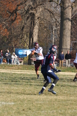 Enlarge photo 538