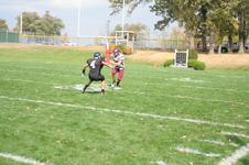 Enlarge photo 429