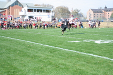 Enlarge photo 443