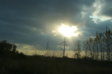 Enlarge photo 474