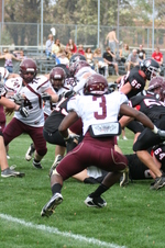 Enlarge photo 133