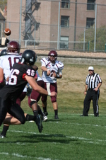 Enlarge photo 152