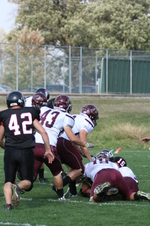 Enlarge photo 176