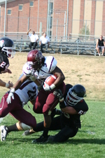 Enlarge photo 243