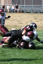 Enlarge photo 244
