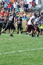 Enlarge photo 316