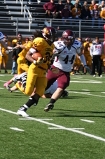 Enlarge photo 43