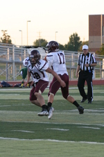 Enlarge photo 48