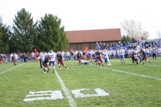Enlarge photo 447
