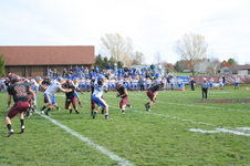 Enlarge photo 451