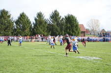 Enlarge photo 455