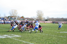Enlarge photo 481