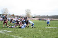 Enlarge photo 482