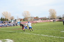 Enlarge photo 488