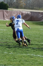 Enlarge photo 215