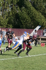 Enlarge photo 225