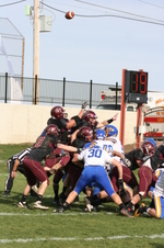Enlarge photo 239