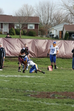 Enlarge photo 248