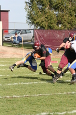 Enlarge photo 275