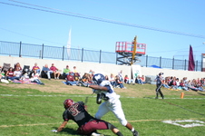 Enlarge photo 482