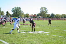 Enlarge photo 485