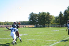 Enlarge photo 493