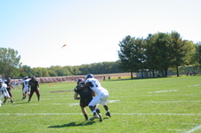 Enlarge photo 494