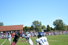 Enlarge photo 510
