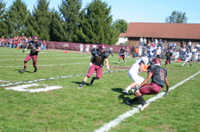 Enlarge photo 539