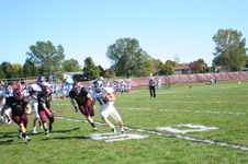 Enlarge photo 541