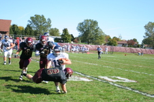 Enlarge photo 543