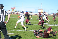 Enlarge photo 552