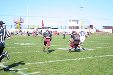 Enlarge photo 559