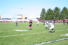 Enlarge photo 572