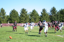 Enlarge photo 575