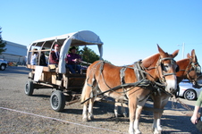 Enlarge photo 685