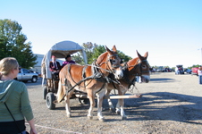 Enlarge photo 687