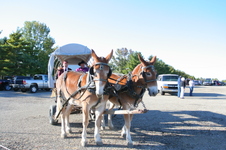 Enlarge photo 689