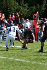 Enlarge photo 65