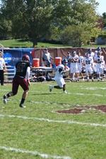 Enlarge photo 86