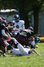 Enlarge photo 91