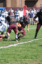 Enlarge photo 205