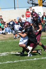 Enlarge photo 266