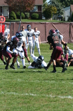 Enlarge photo 285
